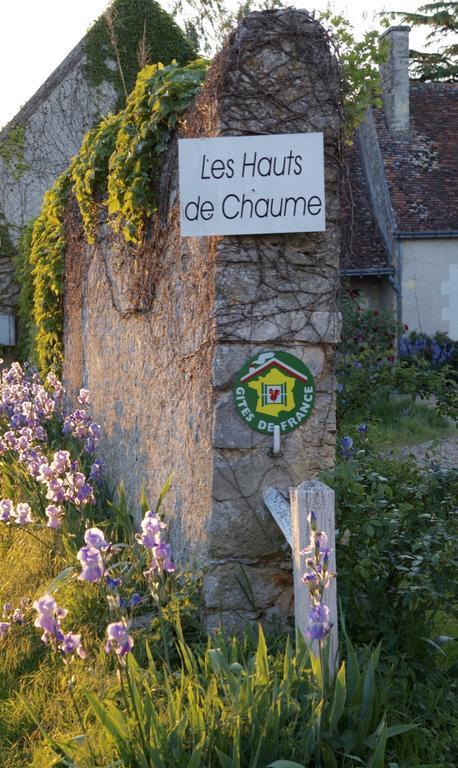 Les Hauts De Chaume Génillé エクステリア 写真